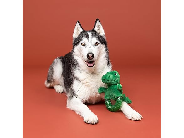 Fringe Studio Rubber Dog Toy, Unleash THE Dino