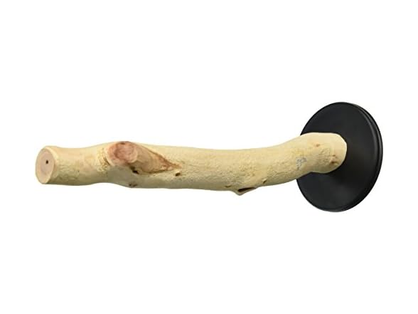 Sweet Feet and Beak Medium Manzanita