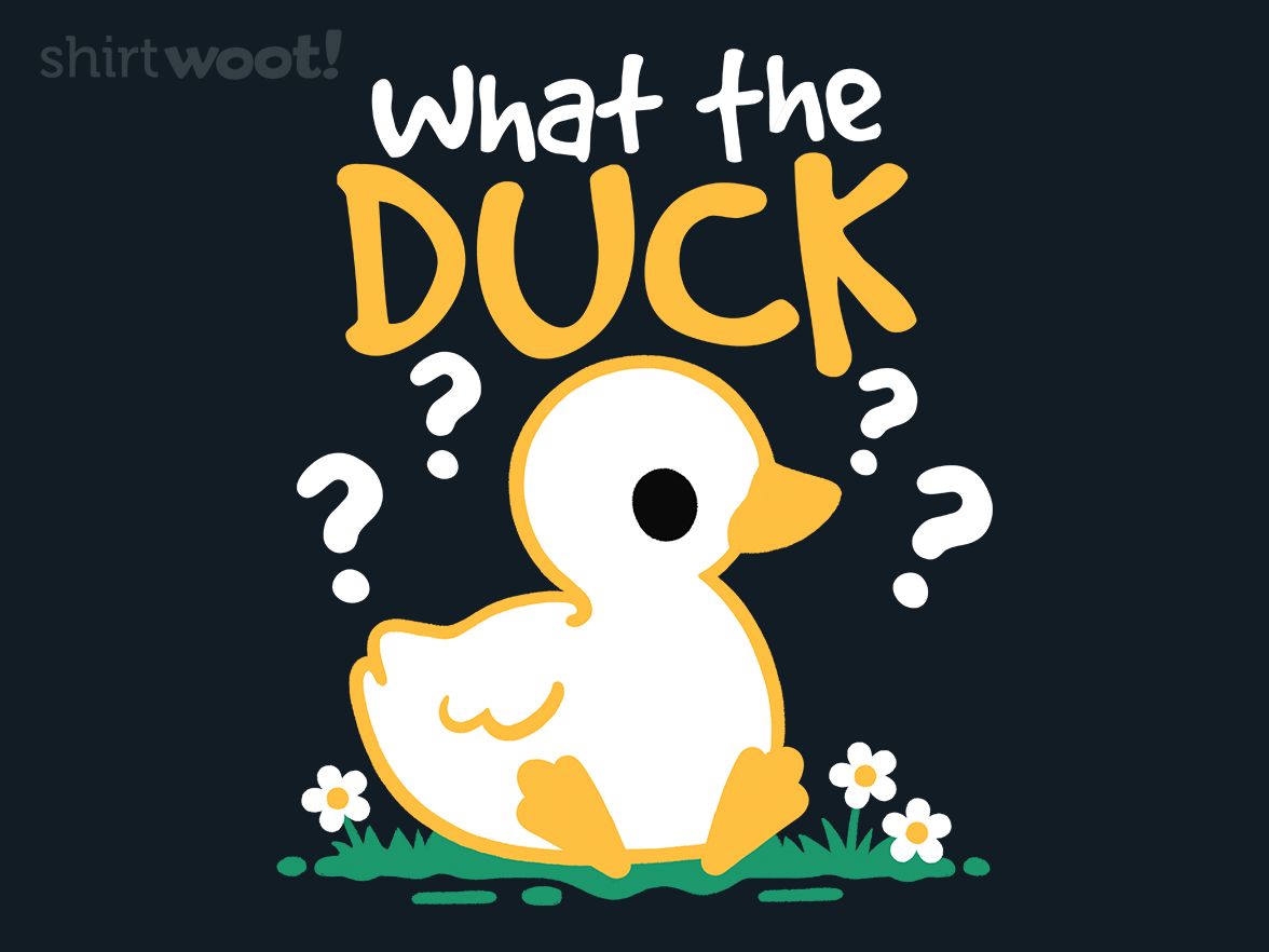 What the Duck - Gallery 4