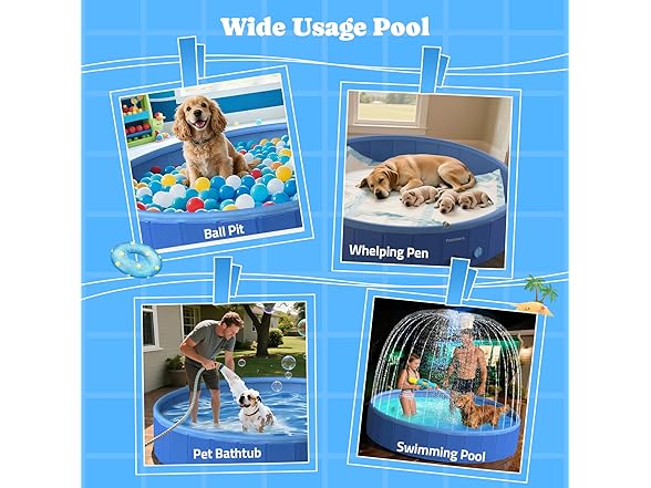 Pawtners Foldable Dog Pool