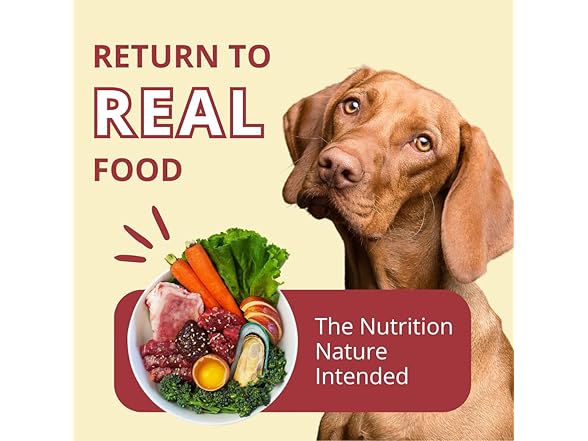 Steve's Real Food Freeze-Dried Raw Nuggets, Dog Food