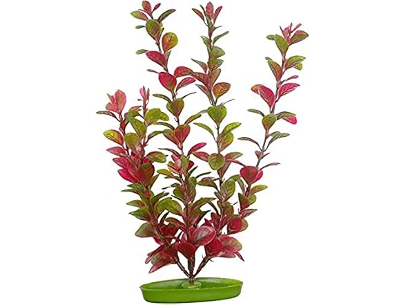 Aquascaper Fish Tank Red Ludwigia Plant