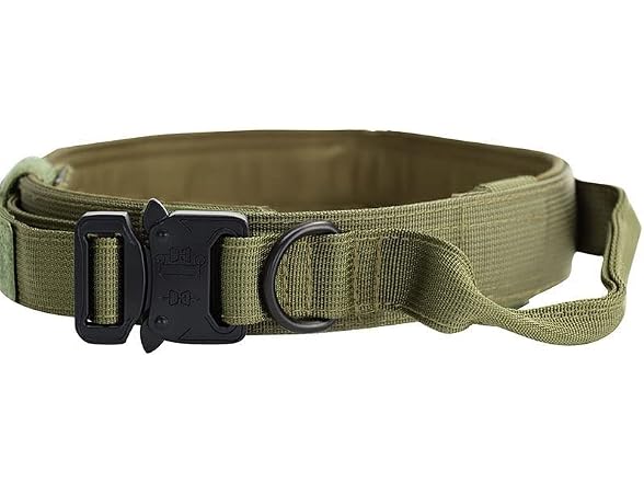 Buyter Reflective Nylon Tactical Dog Collar