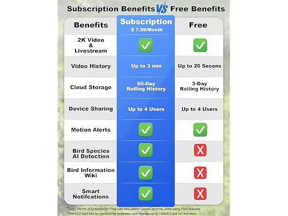 Bird Feeder with Camera Solar Powered