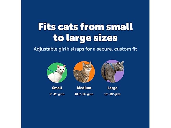 PetSafe Come With Me Kitty Harness and Bungee Leash