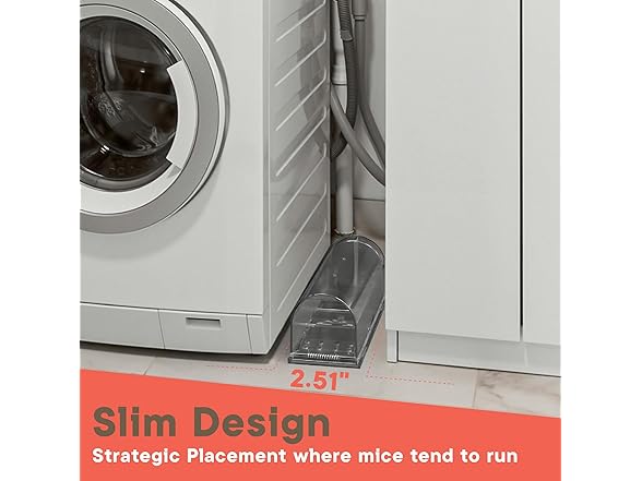 Campior Humane Mouse Trap Pack of 4