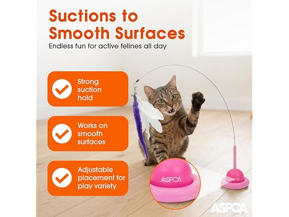 ASPCA Suction Cup Cat Toy Interactive Wand, Pink