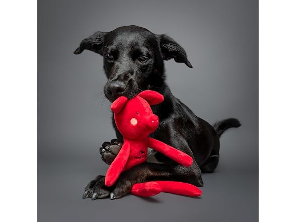 Noah & Paw Luxury dog toy, Stuffed Pig