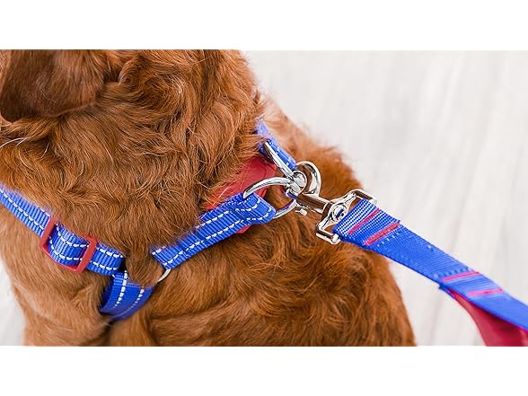 The Dodo Blue Dog Harness - Extra Small