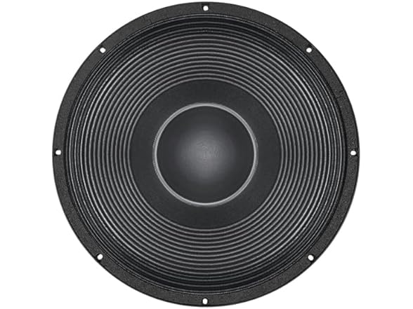 B&C Speakers 15-inch Woofer Cone