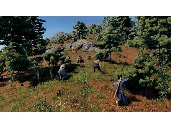 Sengoku Dynasty Ultimate Edition