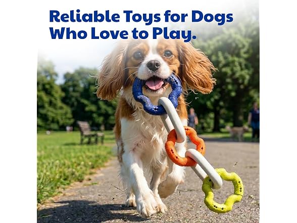 American Kennel Club AKC Sport Chain Dog Chew Toy