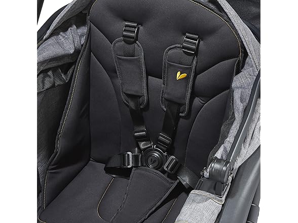 Larktale Adjustable Stroller, 2 Seater