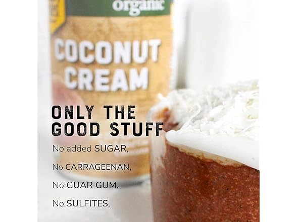 1CT Organic Coconut Cream – Unsweetened