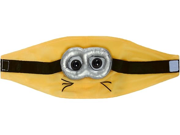 Despicable Me: Minion Pet Costume, M