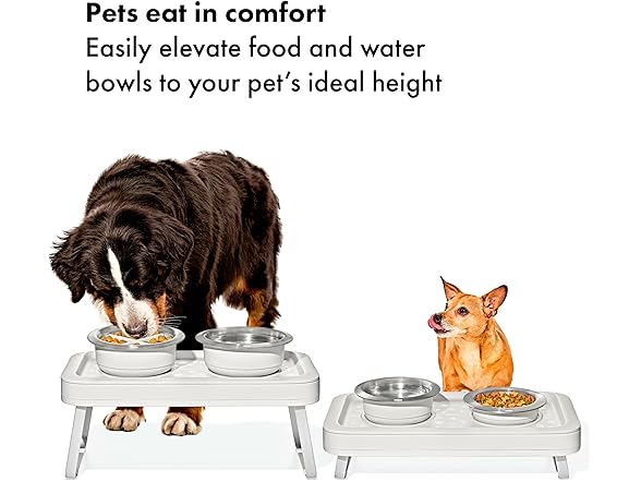 OXO Pet Adjustable Elevated Feeder