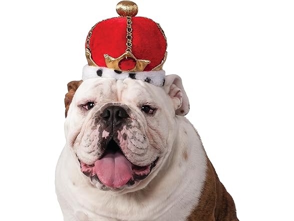Rubies King Pet Crown for Dogs or Cats, S/M