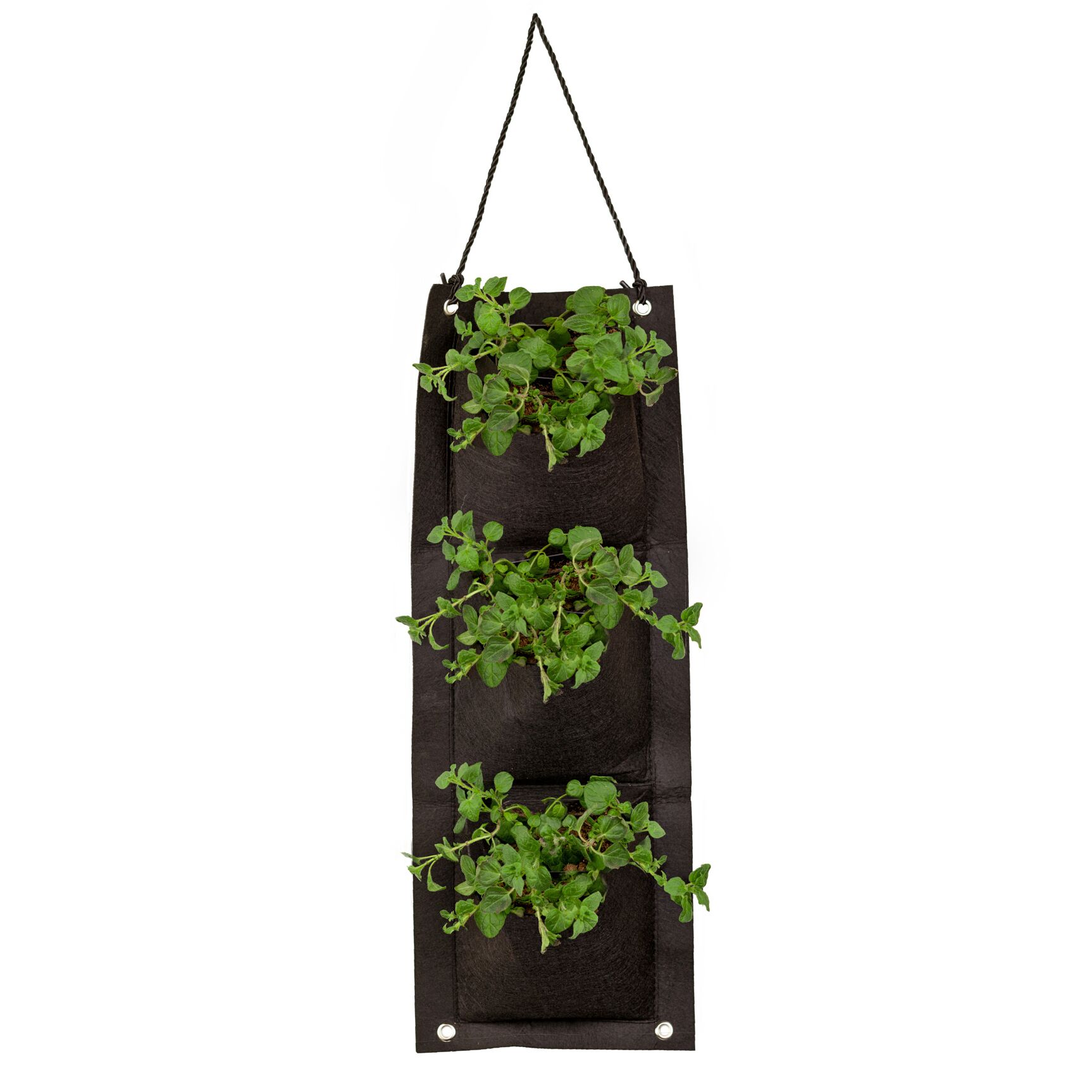 Touch Of ECO Organic Hanging Herb Kit - Gallery 15