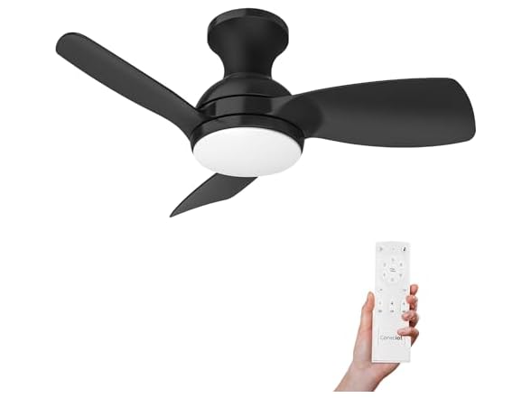 Consciot Ceiling Fan With Lights 30 Inch, Black
