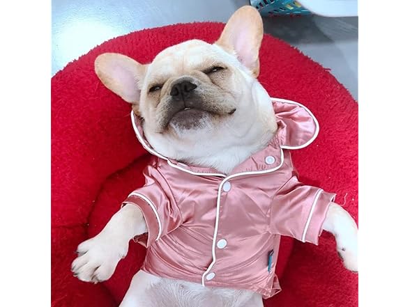 Dog Pajamas for Small Dogs Cats Silk Soft Sh