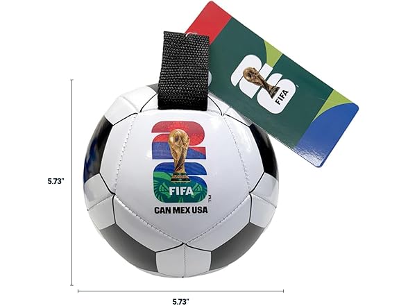 Littlearth Pet Soccer Ball Toy