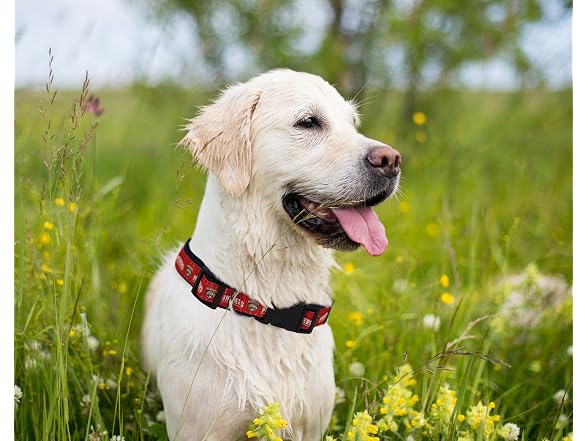 Pets First NHL Collar for Dogs & Cats. Adjus