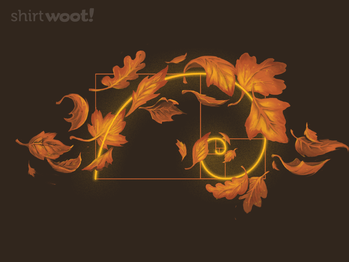 Fall is Golden - Gallery 4