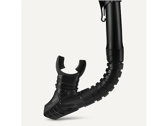 Amazon Basics Snorkel mask with Carry Bag