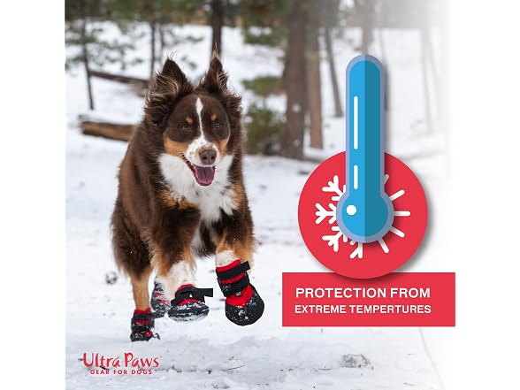 Durable Dog Boots, Red Paw Protector Booties
