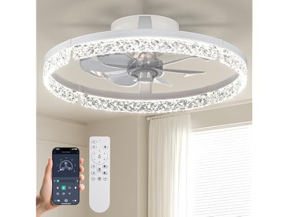 Passky 20” Low Profile Ceiling Fan with Lights and Remote
