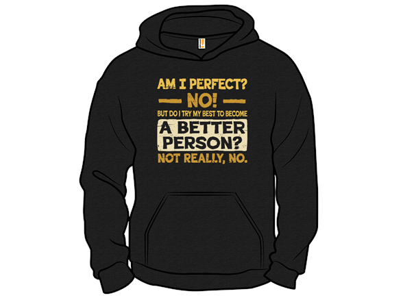 Am I Perfect?