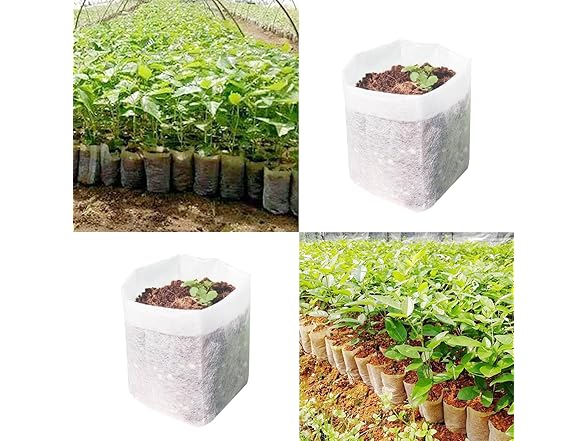 SQXBK Nursery Bags 120x140mm 100pc