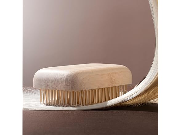 EcoTools Travel Detangler Hairbrush