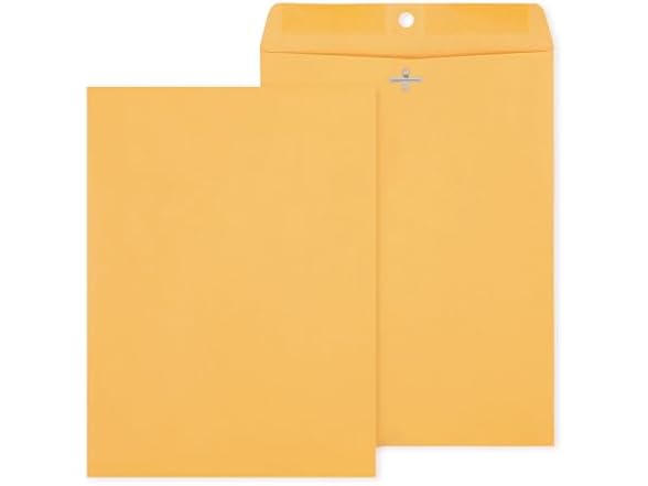 Staples 9 x 12 Kraft Clasp & Moistenable