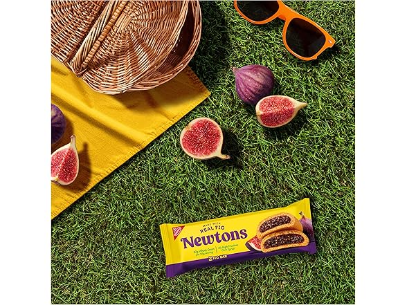 Newtons Soft & Fruit Chewy Fig Cookies, 