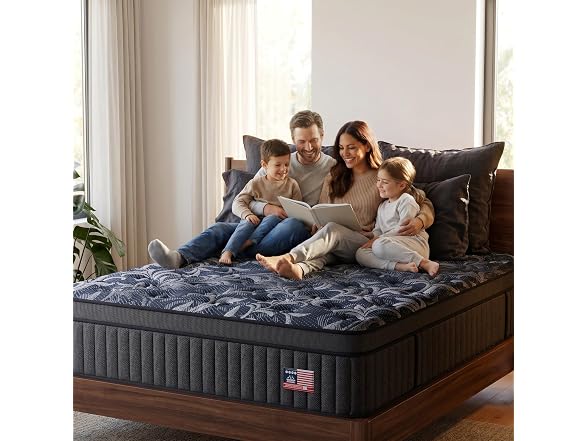 REALONE Queen Hybrid Mattress