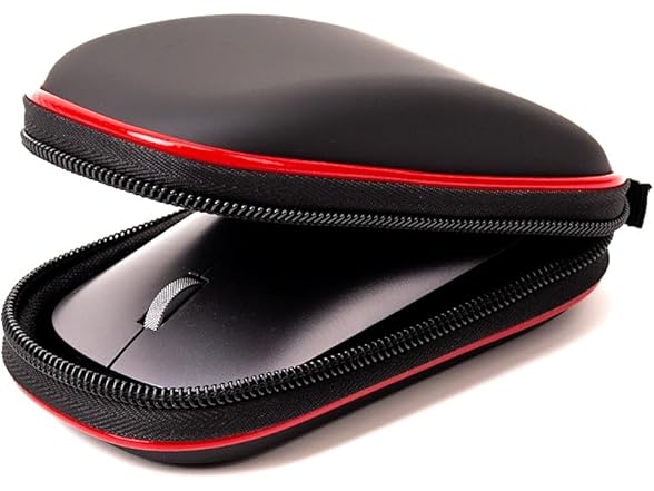 SoleKing Hard Storage Carrying Case Bag