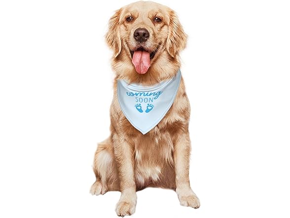 vercosee Coming Soon….Bandana Pregnancy Announcement