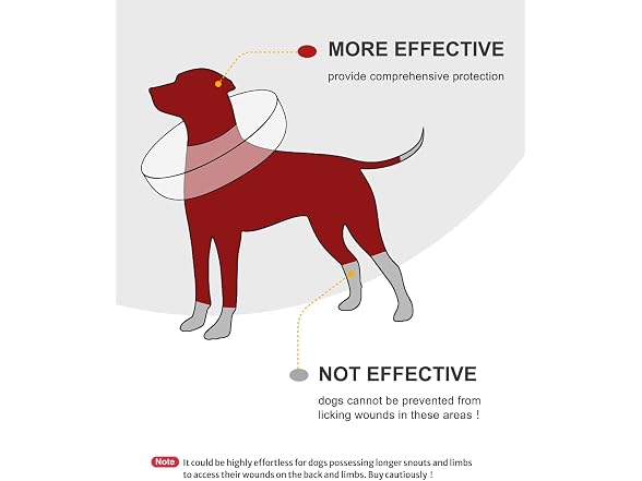Dog Cone Collar for Small Medium Large Dogs
