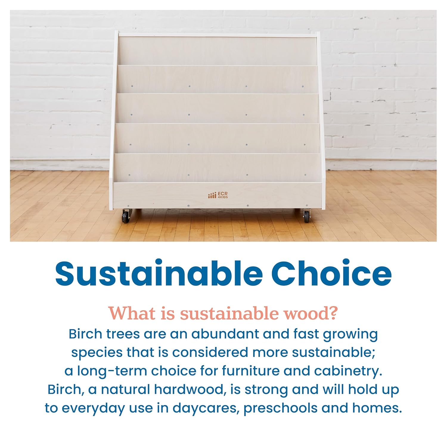 ECR4Kids Double-Sided Mobile Book Display - Gallery 18