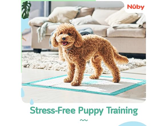 Nuby Pets Lavender Scent Puppy Training Pads 