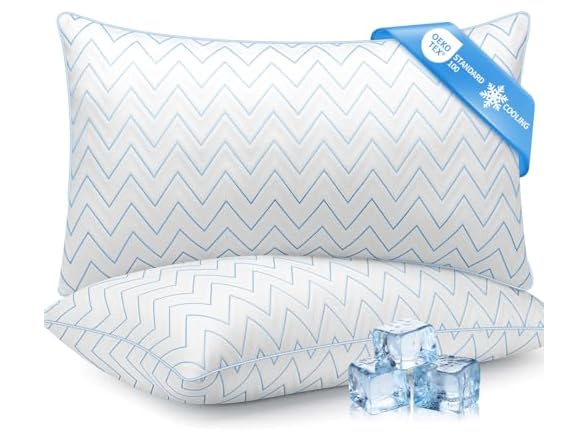 DIORIS Cooling Pillows Queen Set of 2