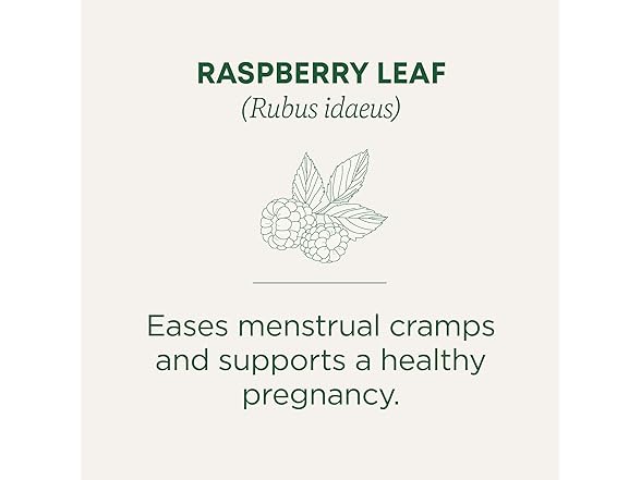 16CT Traditional Medicinals Organic Raspberry Leaf