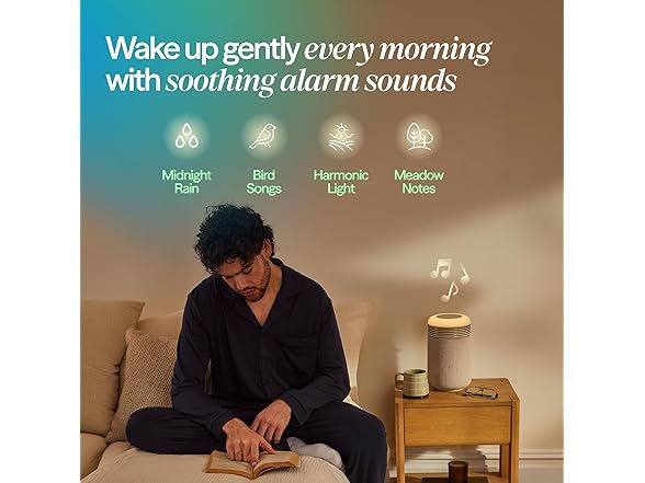 BLUEAIR Purifier & Sunrise Alarm Clock