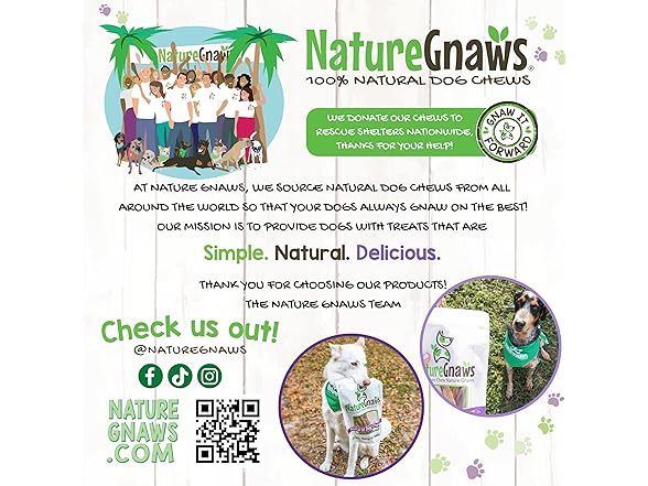 Nature Gnaws USA Turkey Tendons for Dogs 8 oz.