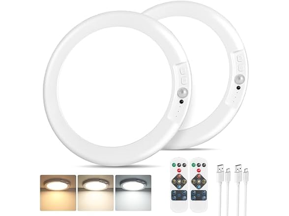 Bairth Sensor Ceiling Lights with Remote