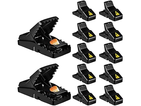 Mouse Trap Indoor 12pk