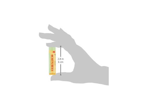 BURTS BEES Cucumber Mint Lip Balm Tube,