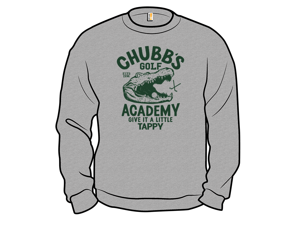 Chubbs Academy - Gallery 11