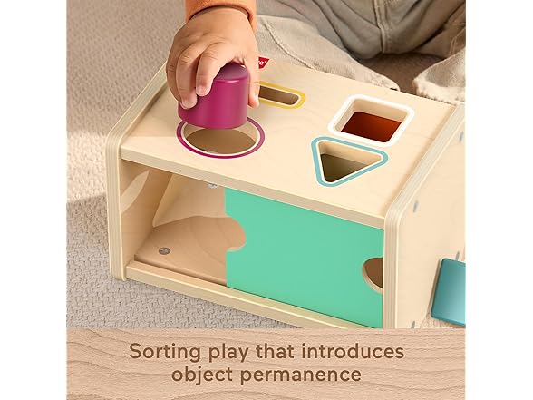 Wood Montessori Toy Object Permanence Box Sort & Find